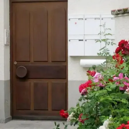 The Expats Delight Apartment